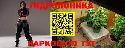 мдма Можга