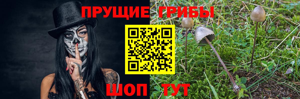 Выкса  Псилоцибиновые грибы MAGIC MUSHROOMS  Вход с VPN 